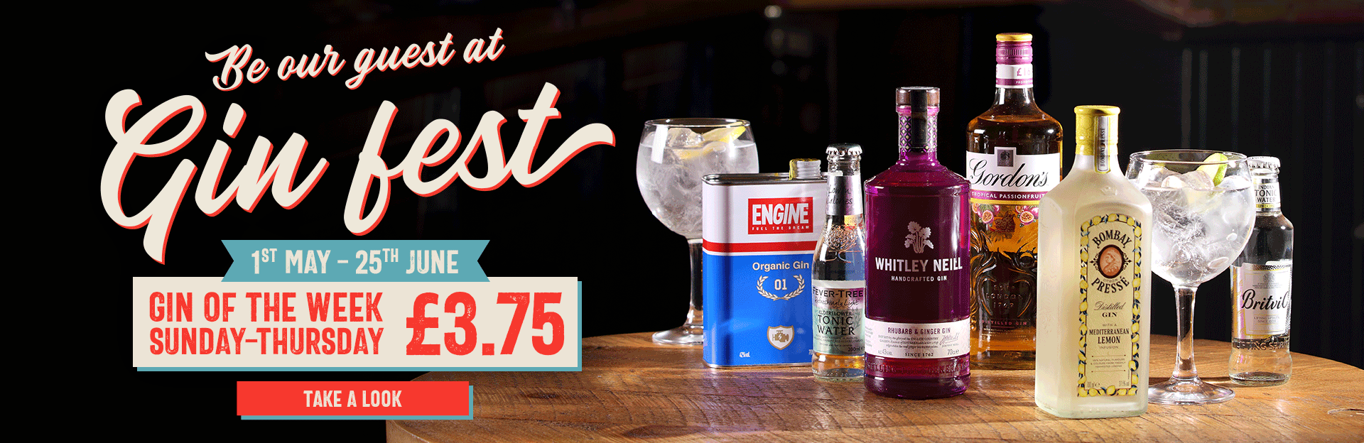 Gin Fest at The Piccadilly Tavern